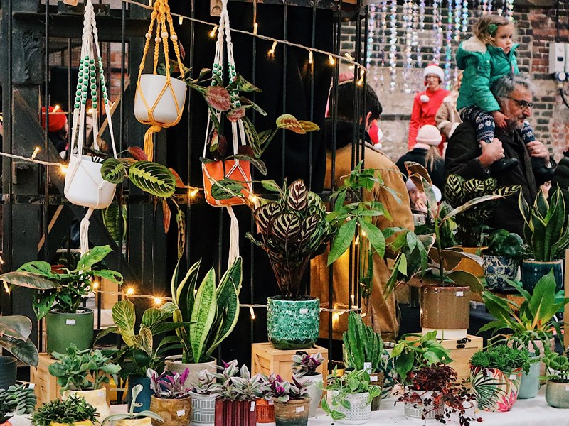 A market stall filled with pot plants and hanging baskets.