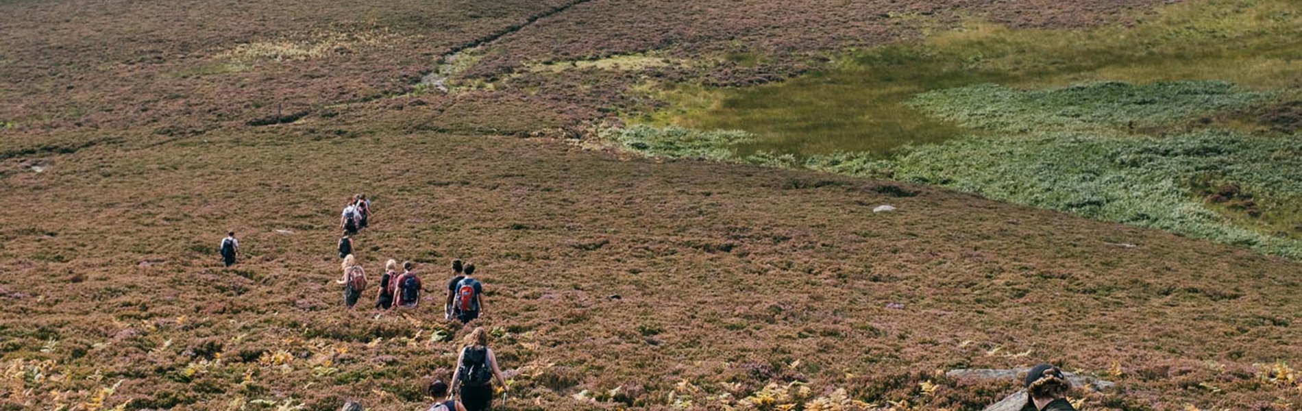 Group of people walking through the heather in the countryside.