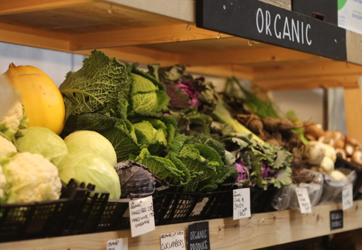 A wooden shelf filled with all different kinds of fresh vegetables for sale, including cauliflowers and cabbages. There is a small sign on one of the shelves that says 'Organic'.