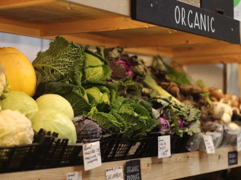 A wooden shelf filled with all different kinds of fresh vegetables for sale, including cauliflowers and cabbages. There is a small sign on one of the shelves that says 'Organic'.