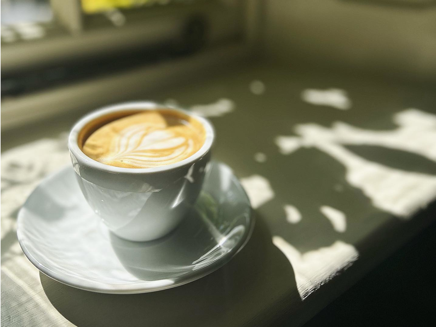 Joni - Botanical Gardens