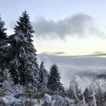 Fir trees in the Black Forest at dawn. Everywhere is dusted with snow and their is fog visible in the lowlands beyond.