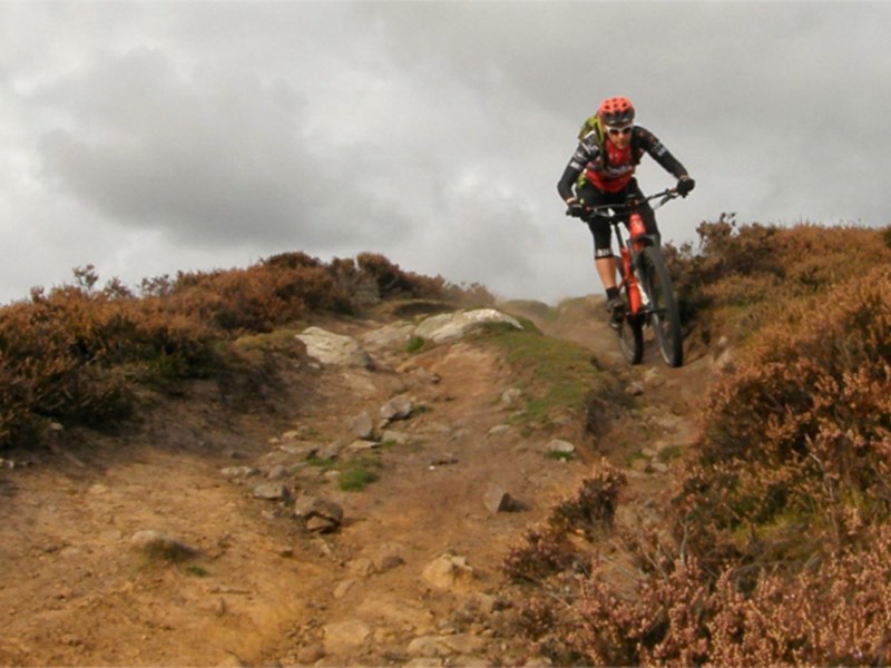 A person mountain biking up a steep hill in the countryside.