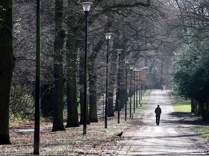 A tree lined promenade at Norfolk Heritage Park.