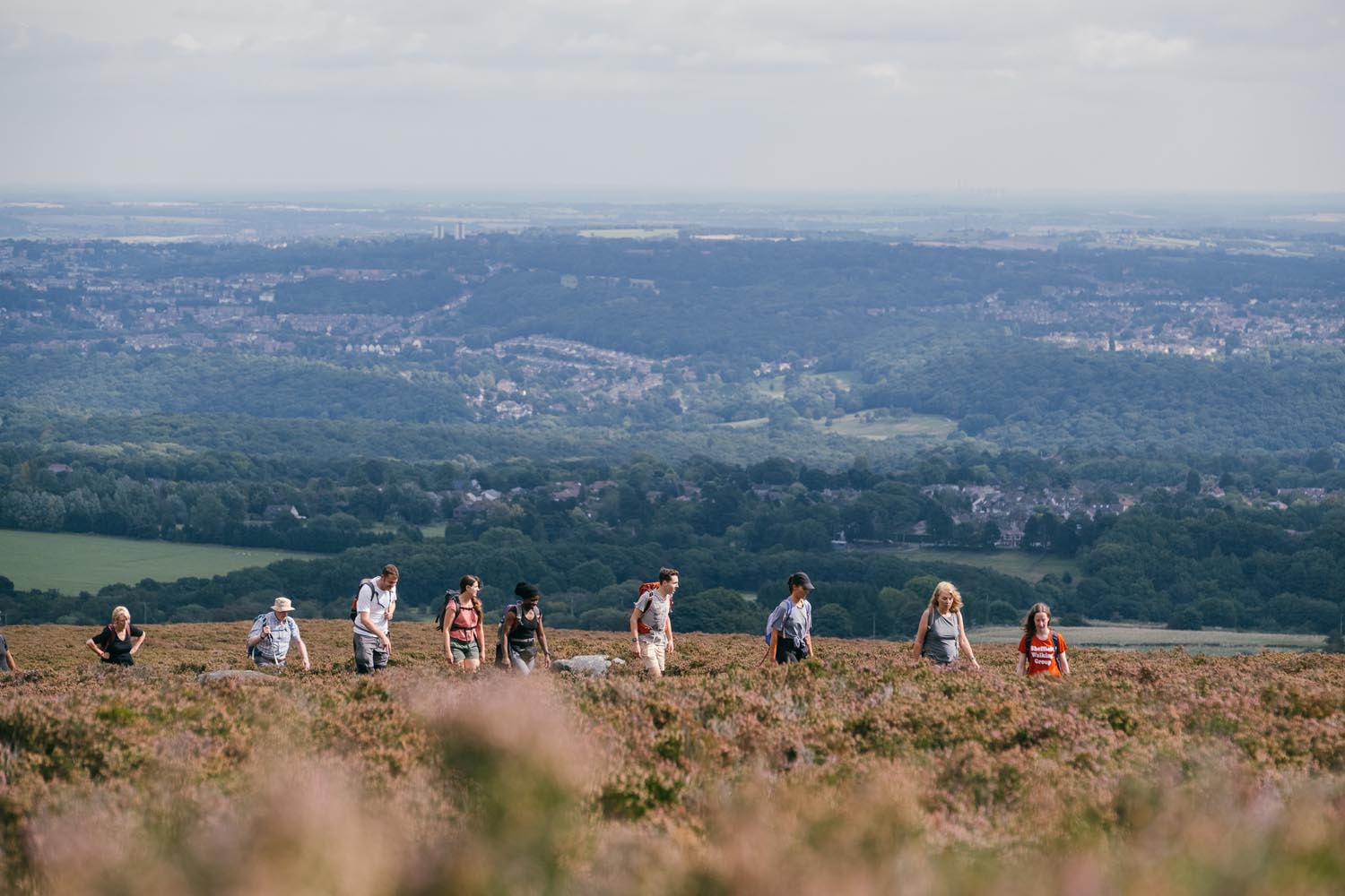 Group of people walking through the long grass in the countryside.
