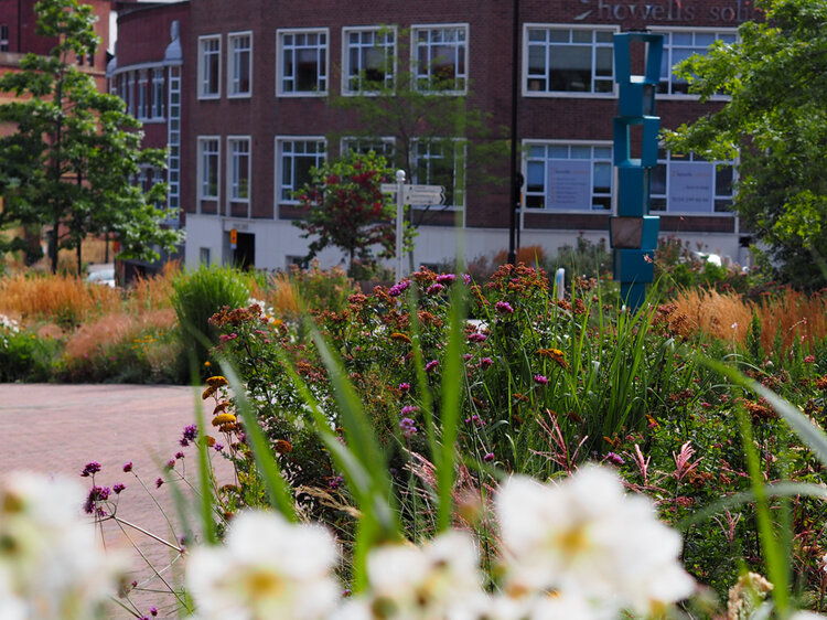 A path flanked by plant beds at Grey To Green.
