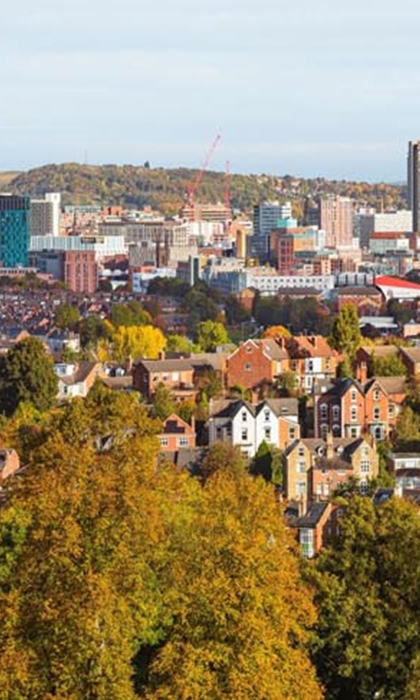 A view across Meersbrook Park.