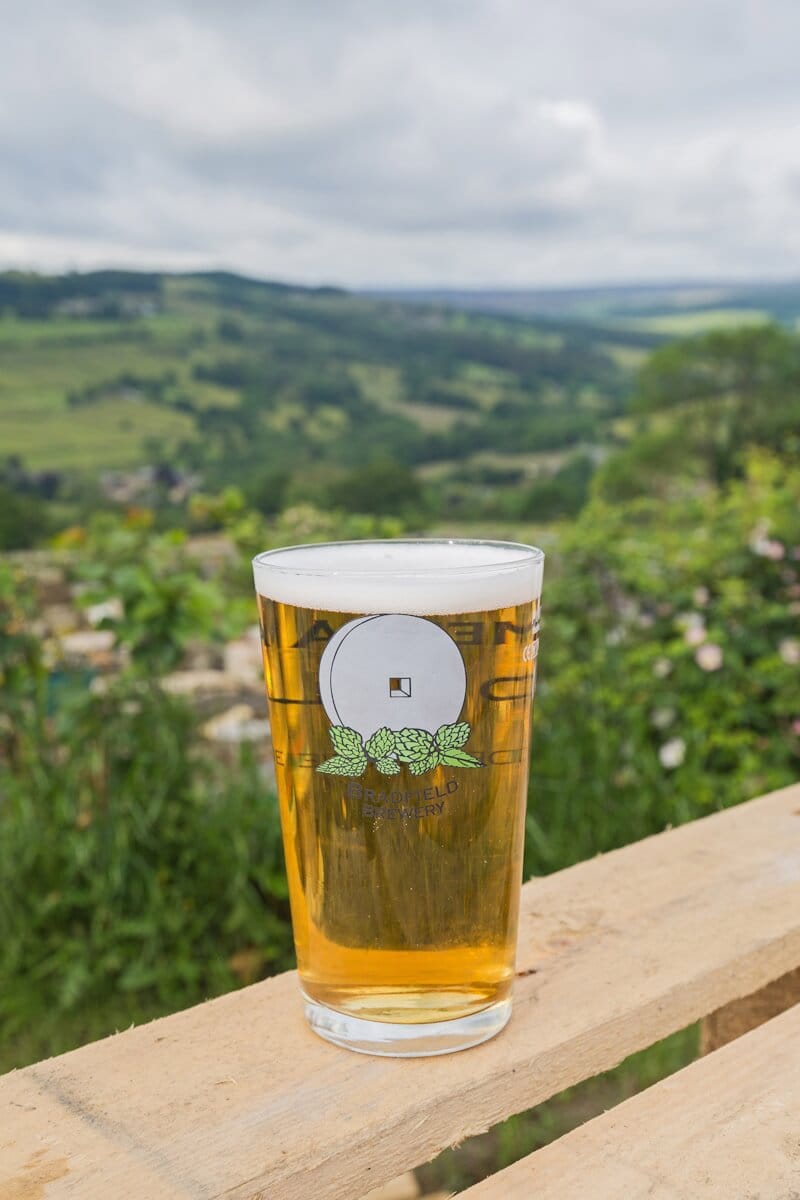 A pint of golden beer in a clear glass with the Bradfield Brewery logo, featuring a white millstone and green hop leaves, placed on a wooden surface. The background shows a scenic countryside landscape with rolling green hills, trees, and cloudy skies.