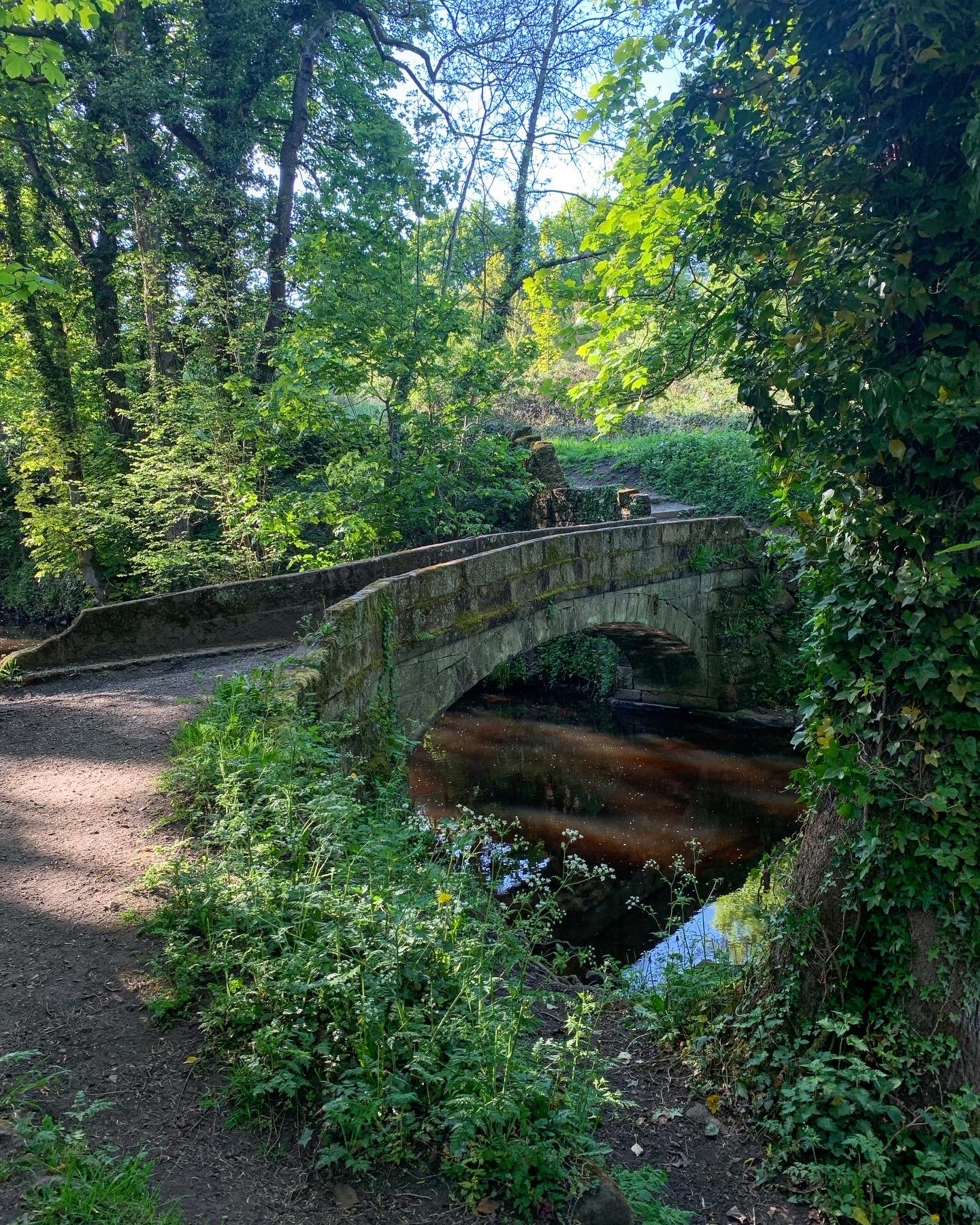 A stone bridge across a river on the Rivelin Valley Trail.