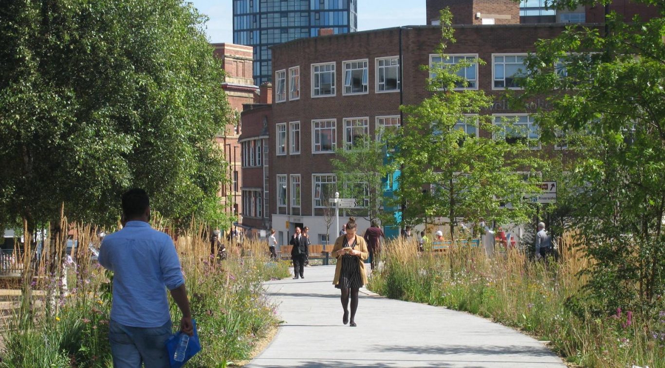 A stone path flanked by tall grasses and other plants.