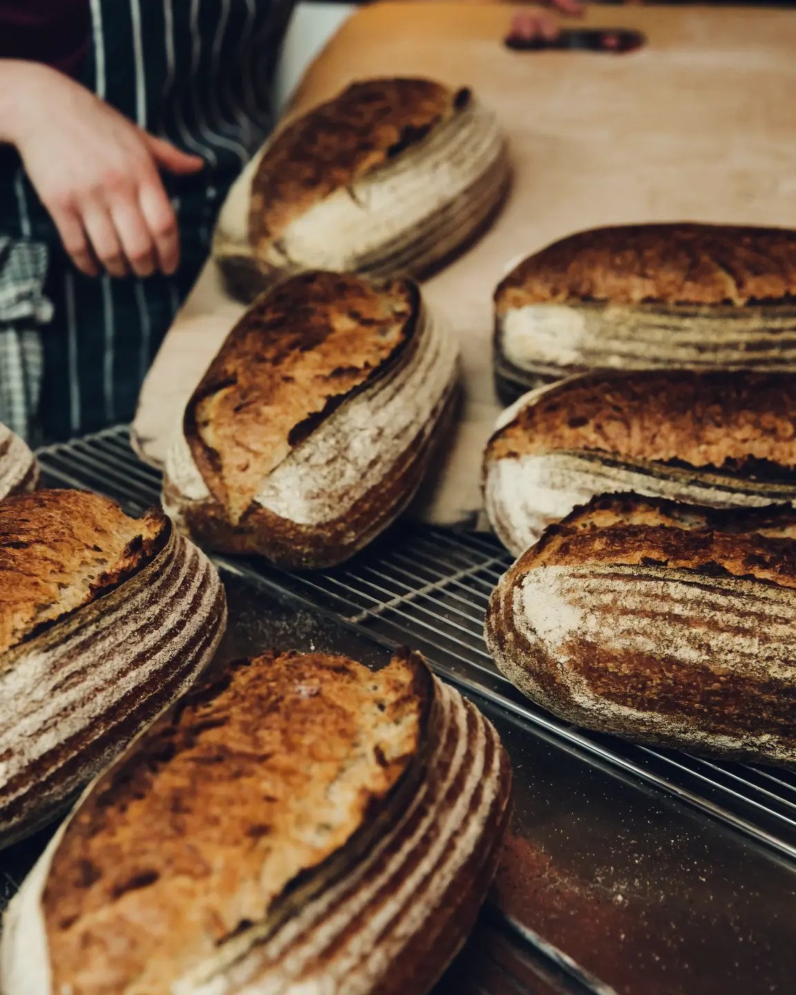Fresh bread at Forge Bakehouse .