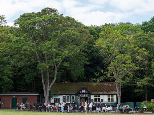 A small café building with a green and white exterior sits among tall trees in a park setting. In front of the café, numerous people are seated at outdoor tables, enjoying food and drinks. The area is surrounded by lush greenery, and the sky above is partly cloudy, creating a relaxed, scenic atmosphere.