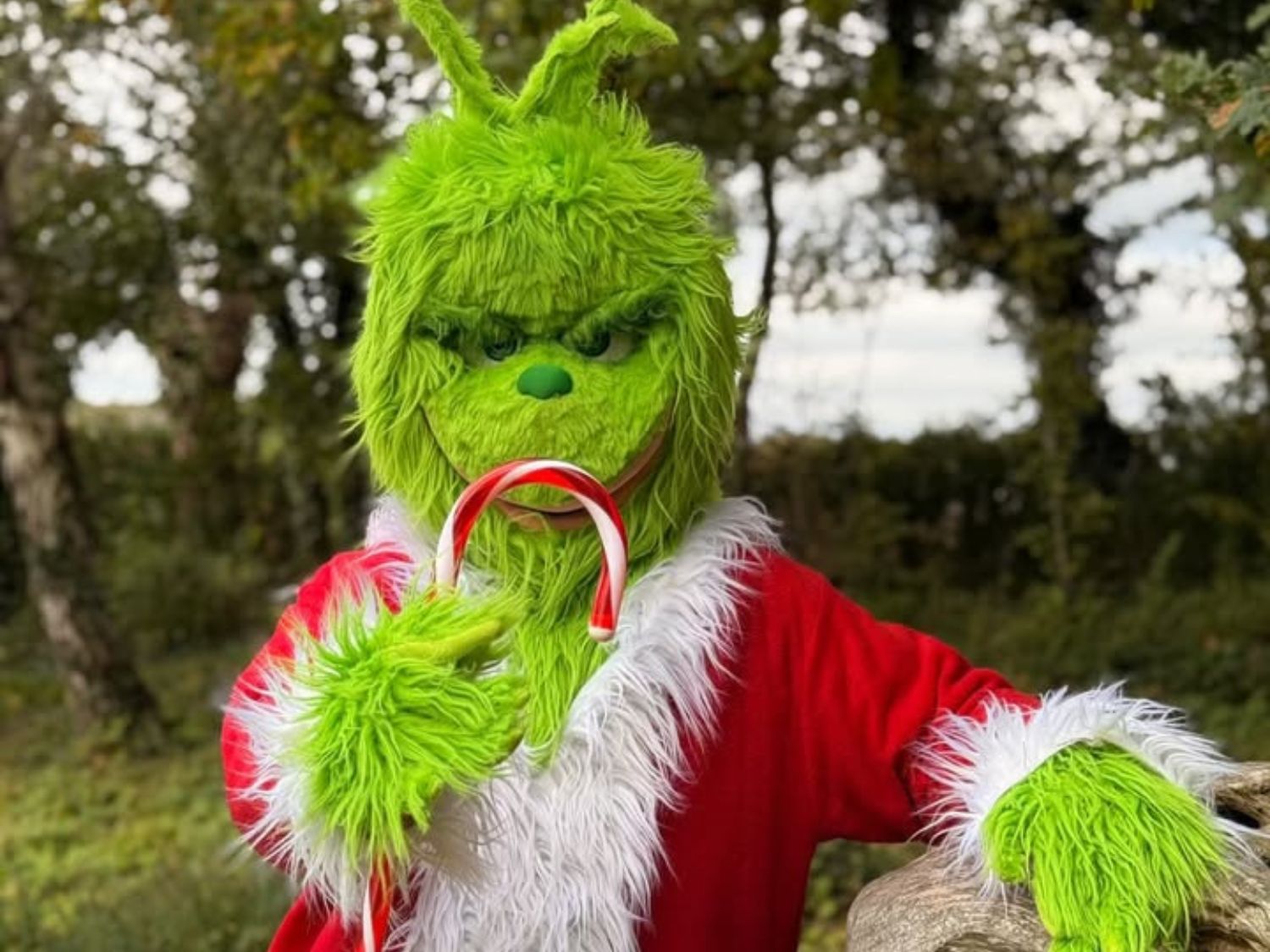 A person in a Grinch costume holding a candy cane.