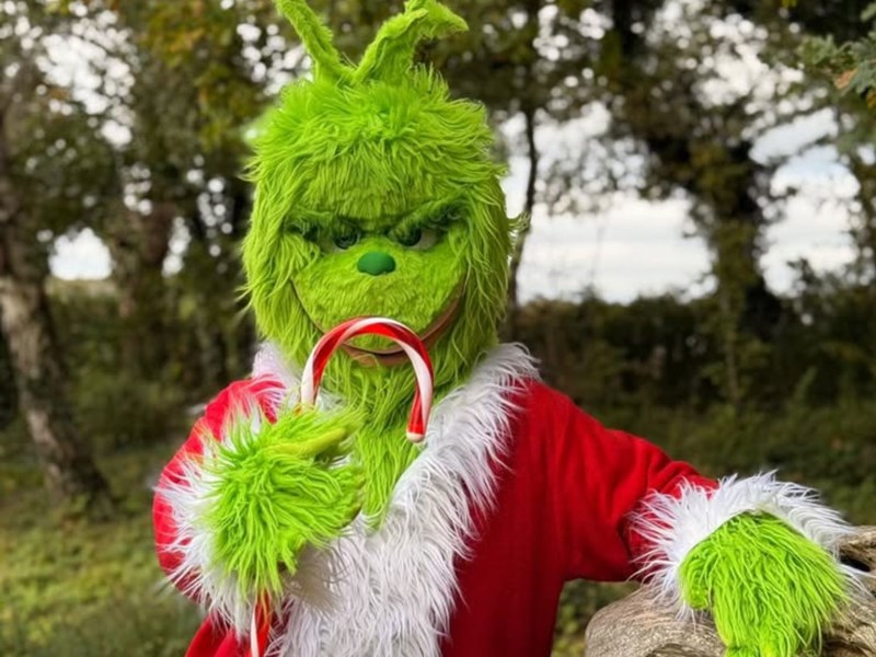 A person in a Grinch costume holding a candy cane.
