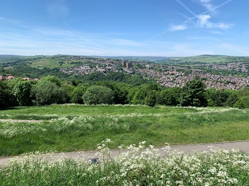 Panoramic view of a green hillside with wildflowers in the foreground, overlooking a town nestled among rolling hills and valleys under a bright blue sky with scattered wispy clouds.