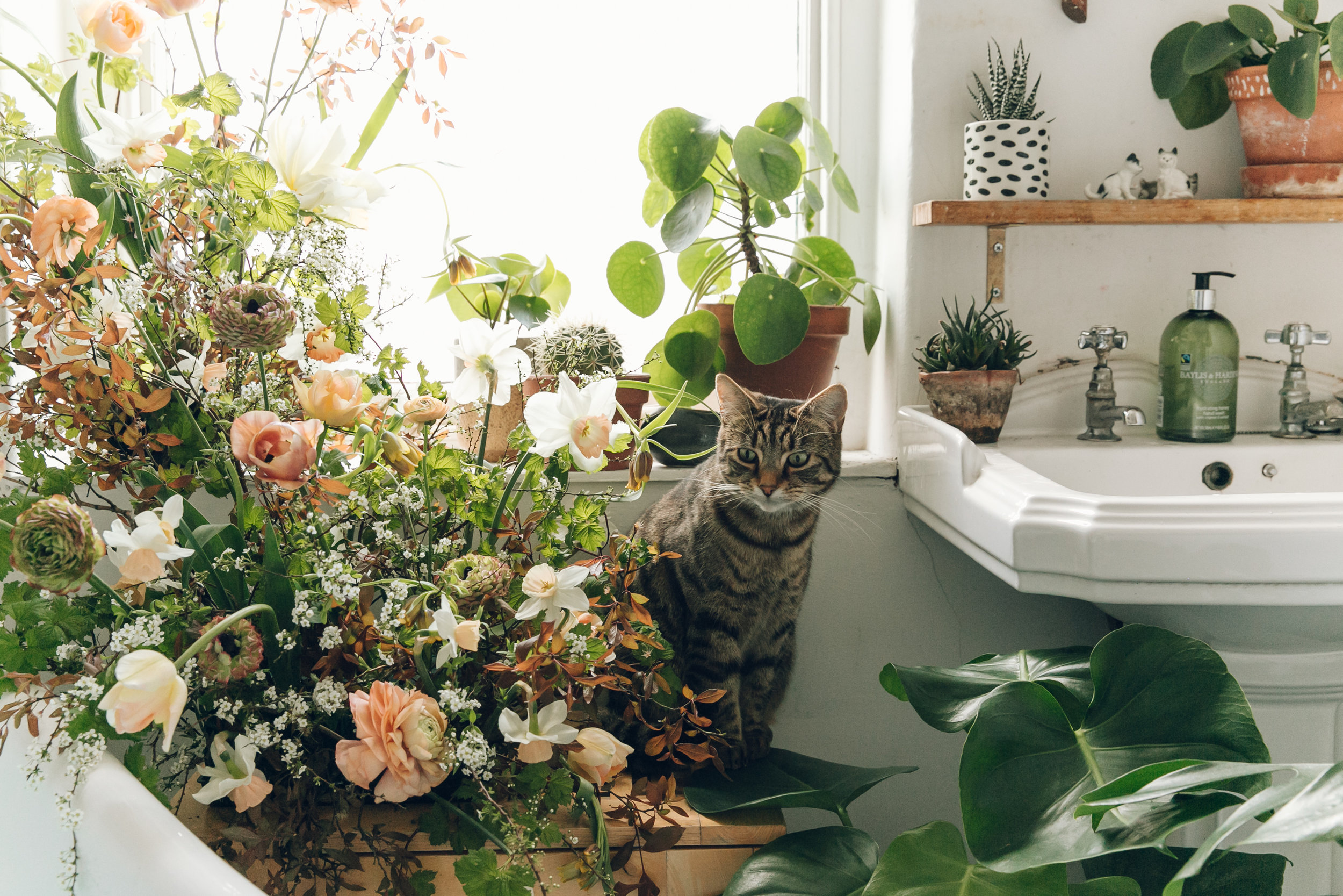 Taken from The Flower Fix, the first book from Anna Potter of Swallows & Damsons