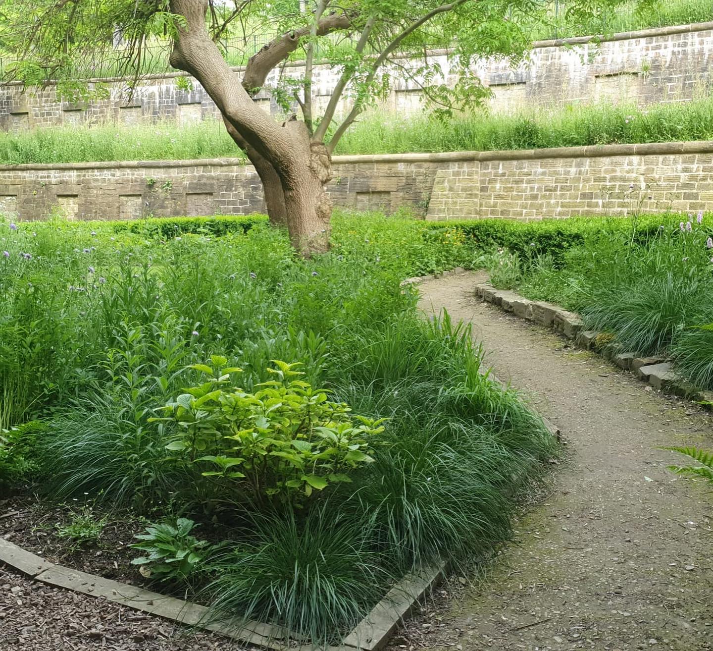 Sheffield General Cemetery Gardens