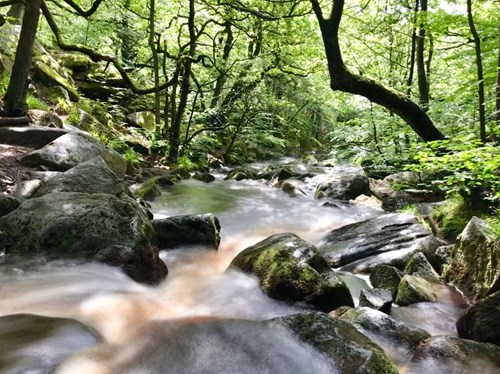 Babbling brook at Padley Gorge which can bee seen on the Grindle Train Station walkleford Train