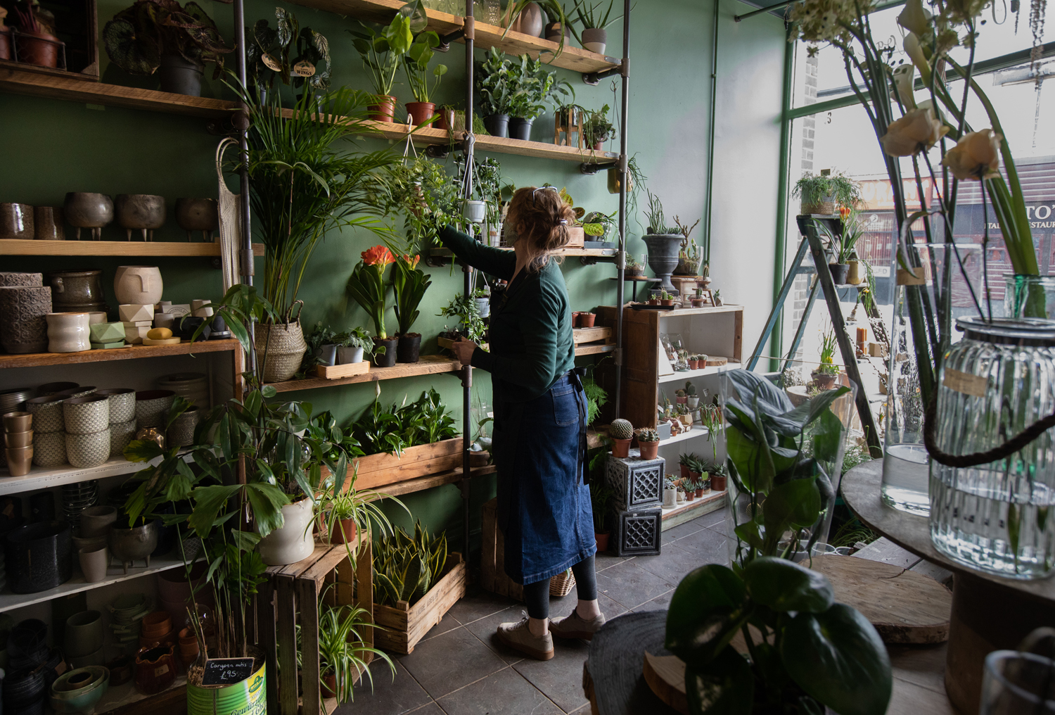 Inside Plantology at Walkley. The whole shop is filled with plants and plant pots. A woman is stocking one of the shelves.