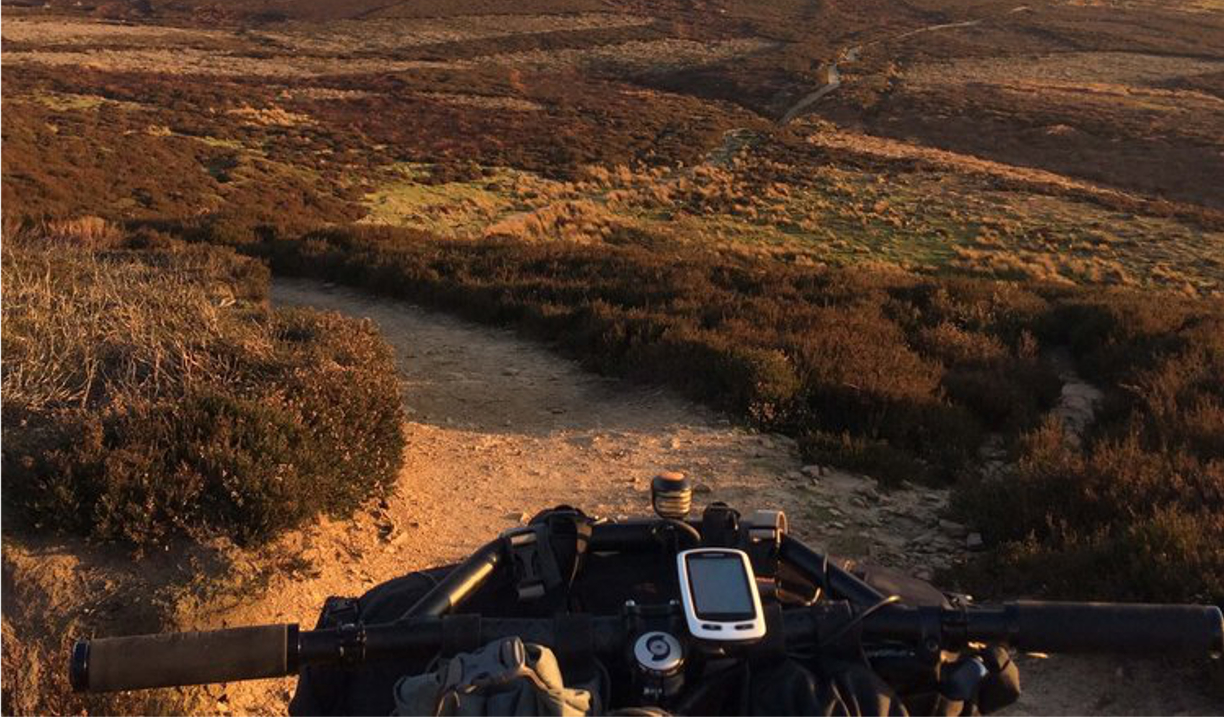 A bike going along an earth track through heather.