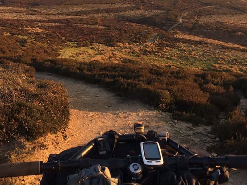 A bike going along an earth track through heather.