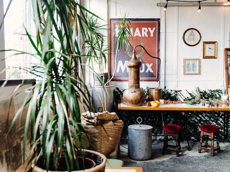 Sheffield School of Gin