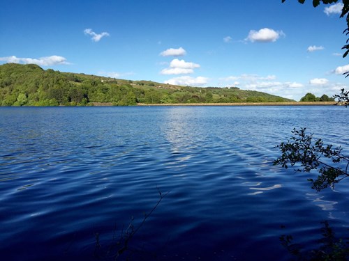 A large, calm body of water stretches across the foreground, reflecting the bright blue sky with scattered white clouds. On the far side, a tree-covered hillside runs along the horizon, with lush green foliage contrasting against the deep blue water. A few branches frame the scene from the right, adding depth to this peaceful lakeside view.