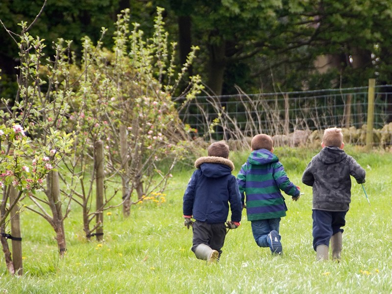 Three children running around in a field.