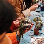 People looking at large glass baubles that have one side open. Inside are small plants and decorative stones.
