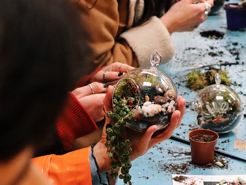 People looking at large glass baubles that have one side open. Inside are small plants and decorative stones.