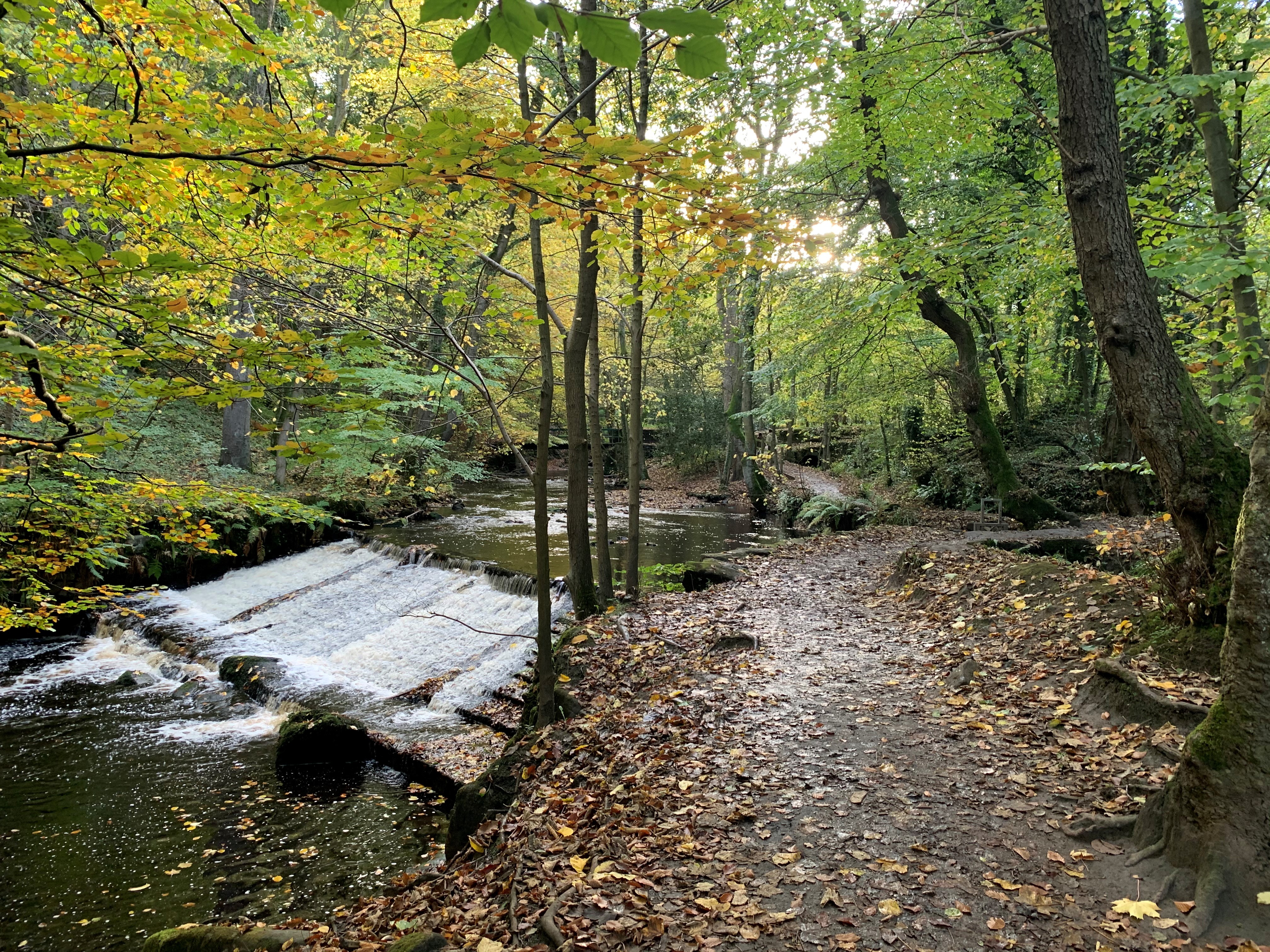 A weir on the Rivelin Valley Trail.