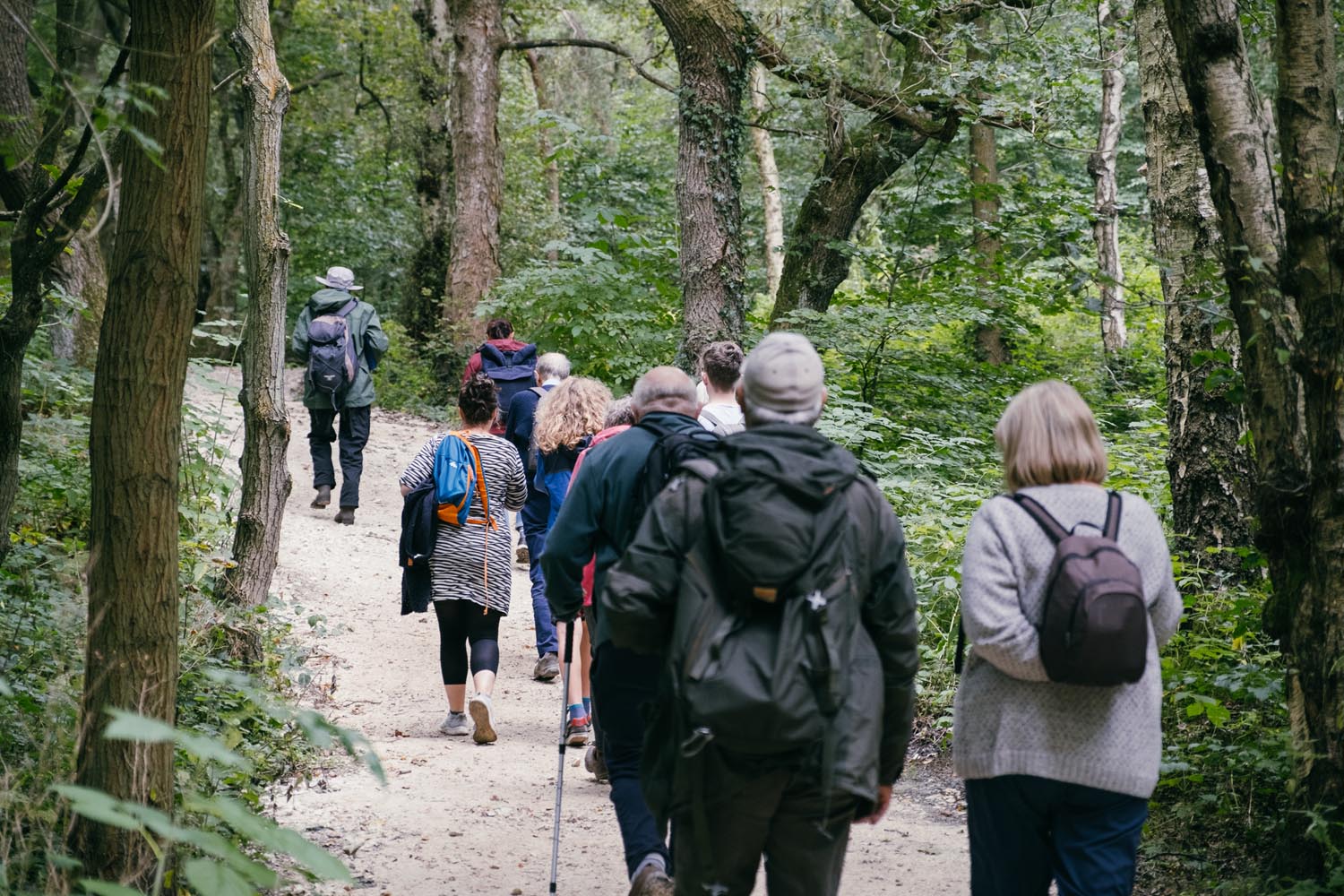 A large group of people on a walk through a wooded area.