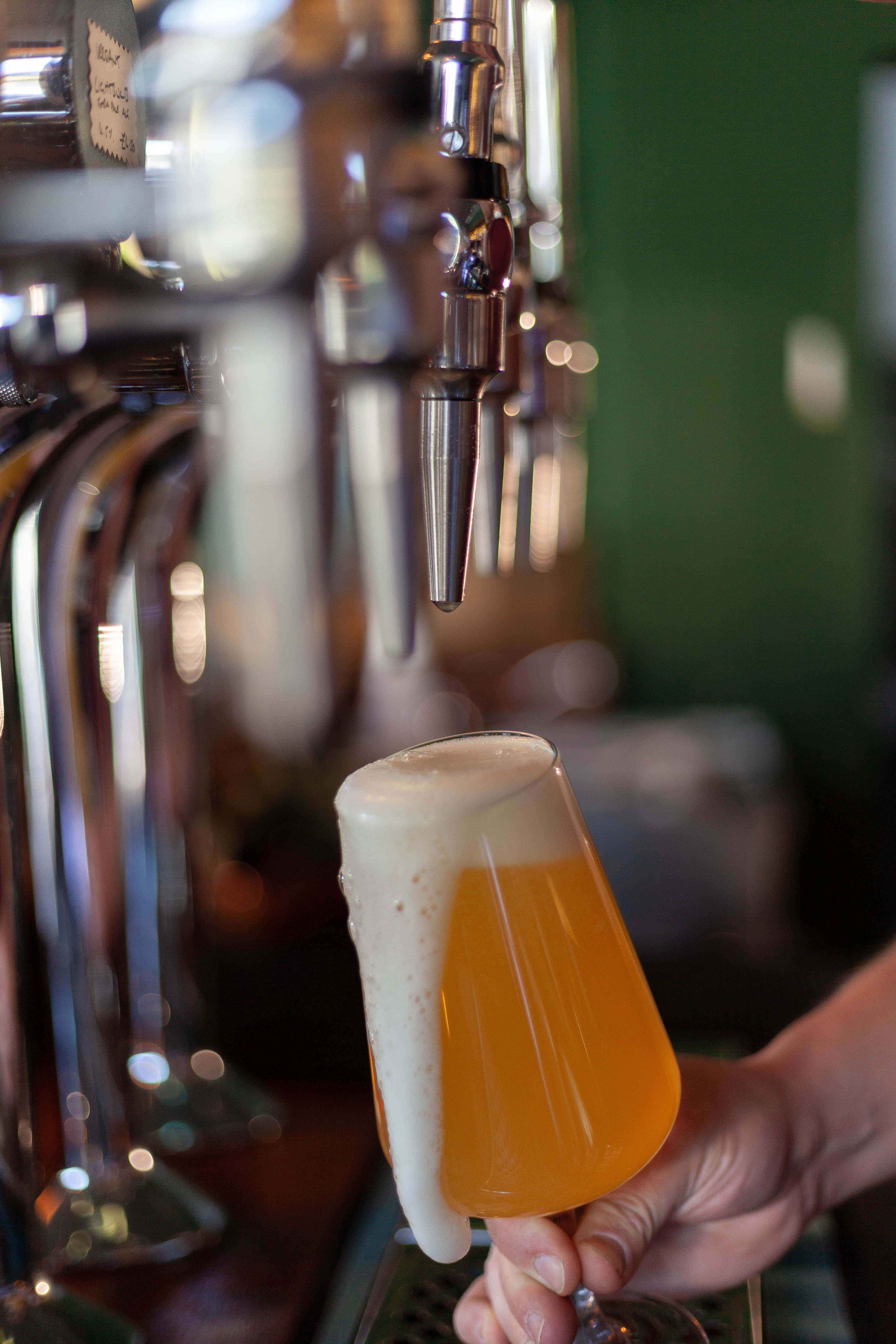 A beer being poured at the Dead Donkey.