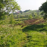 A view of Manor Fields Park.