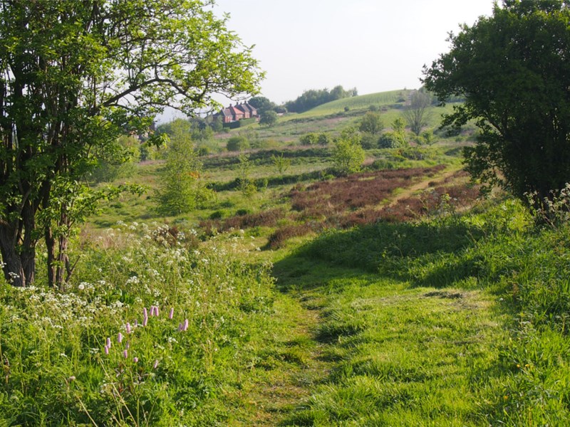 A view of Manor Fields Park.