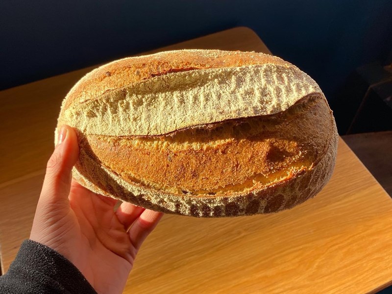 Bread at TONCO Bakery