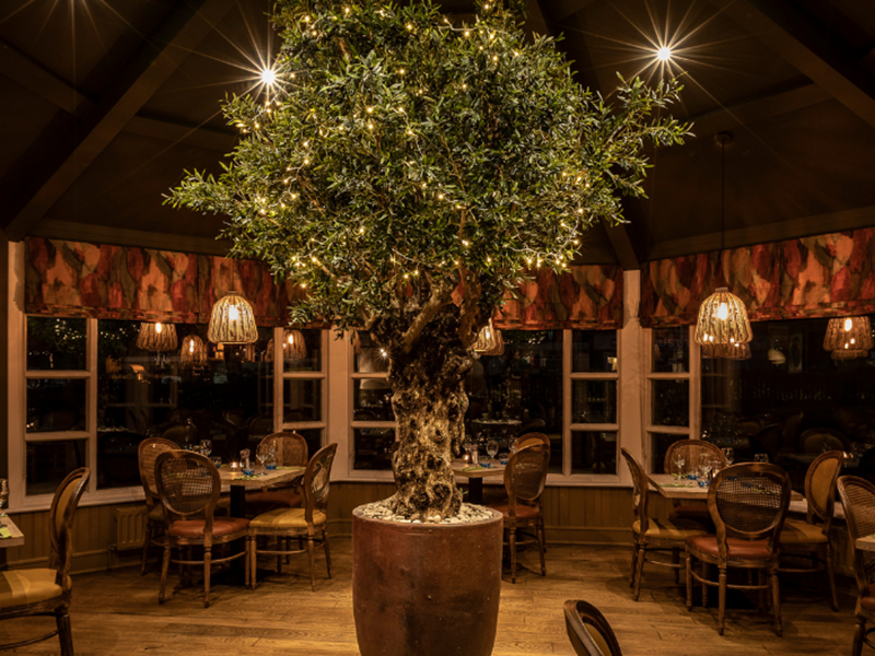 Interior of Ego Mediterranean at night.