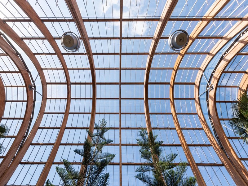 The roof of the Sheffield Winter Garden.