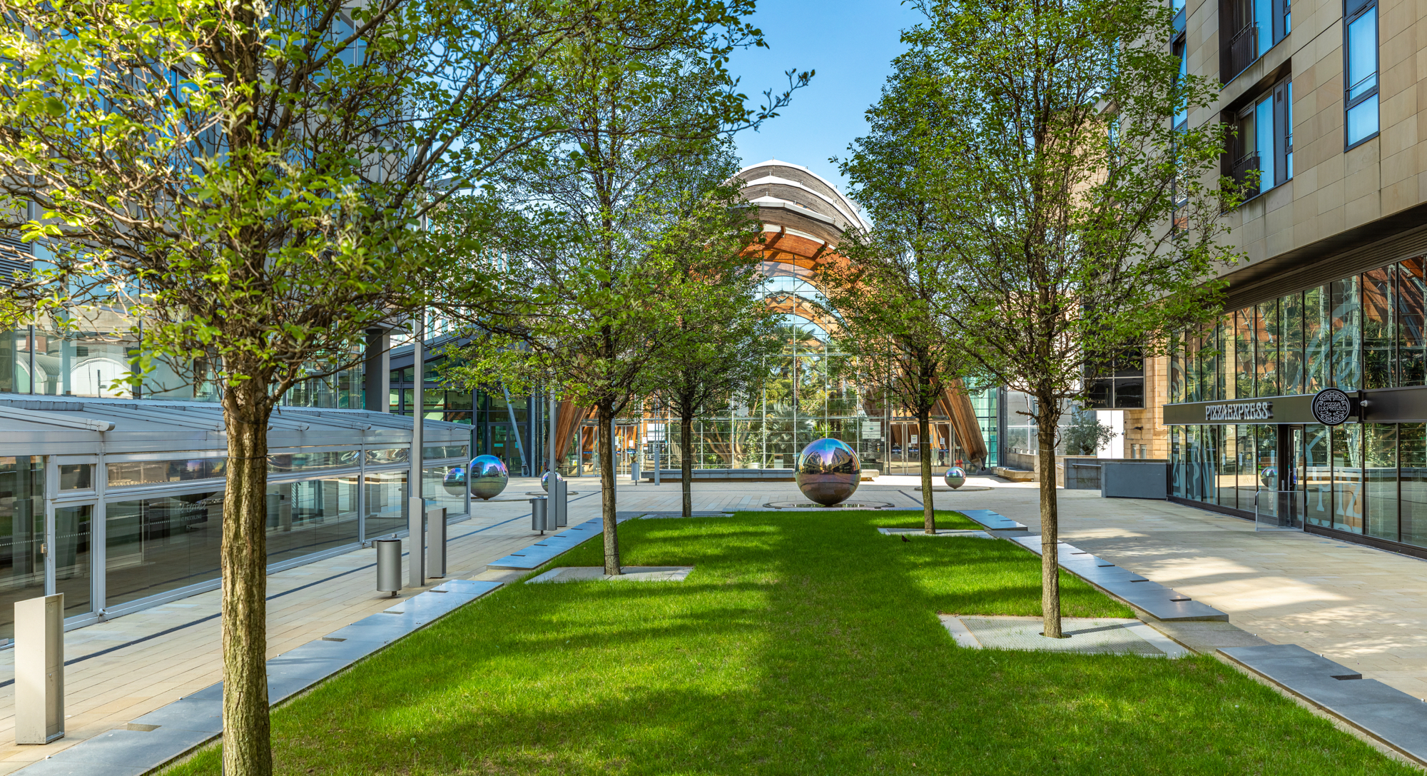 Trees, sculpture and the Sheffield Winter Garden in the sunshine.