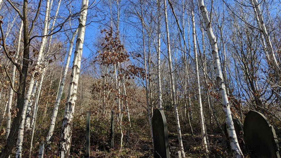 Grave stones at Wardsend Cemetery.