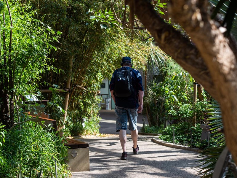 A man with a rucksack walks amongst the plants in the Sheffield Winter Garden.