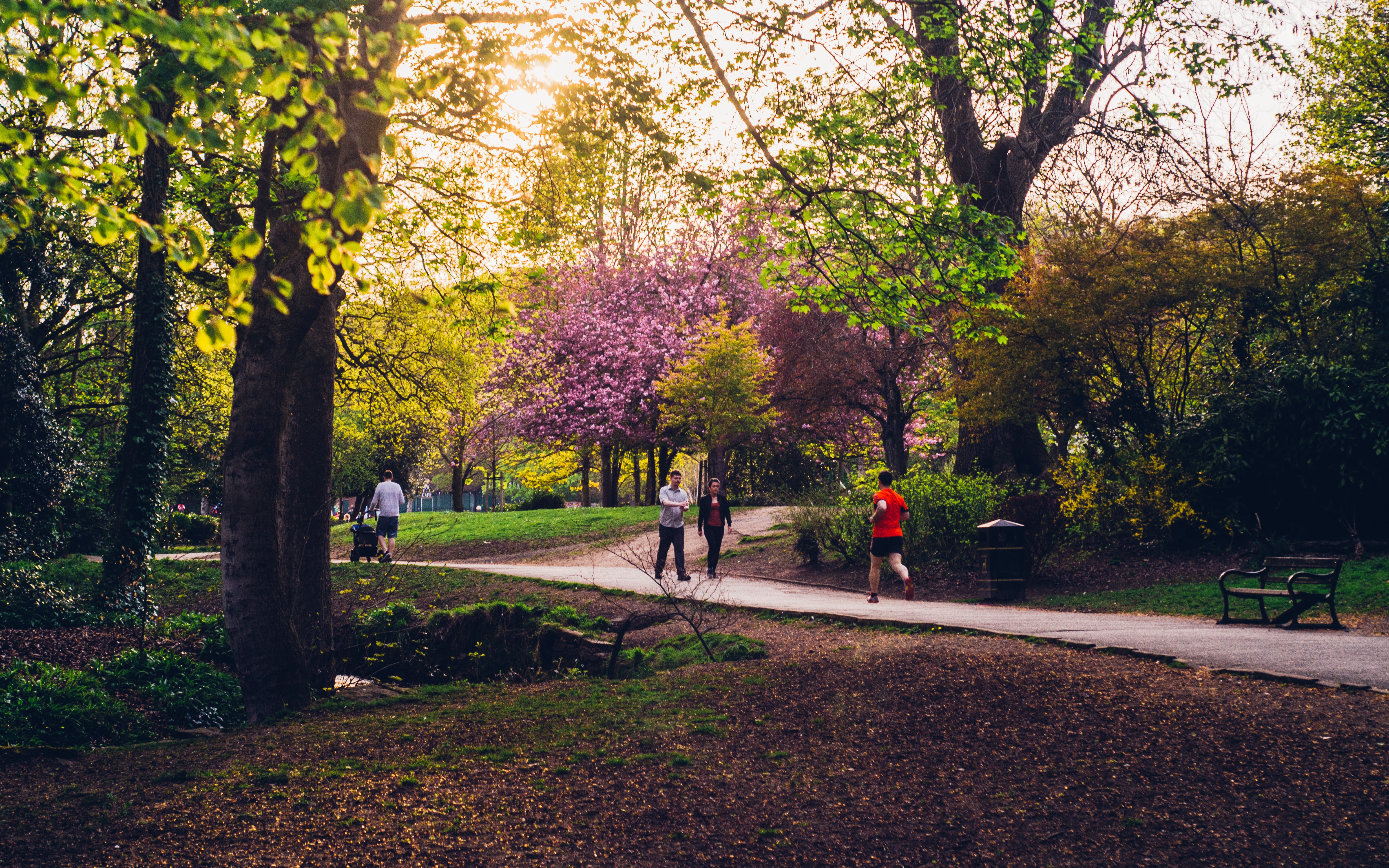 A path through a wooded are in Endcliffe Park. © Shane Rounce 