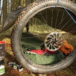 A tarpaulin and a bike wheel used to make a shelter in a wood.