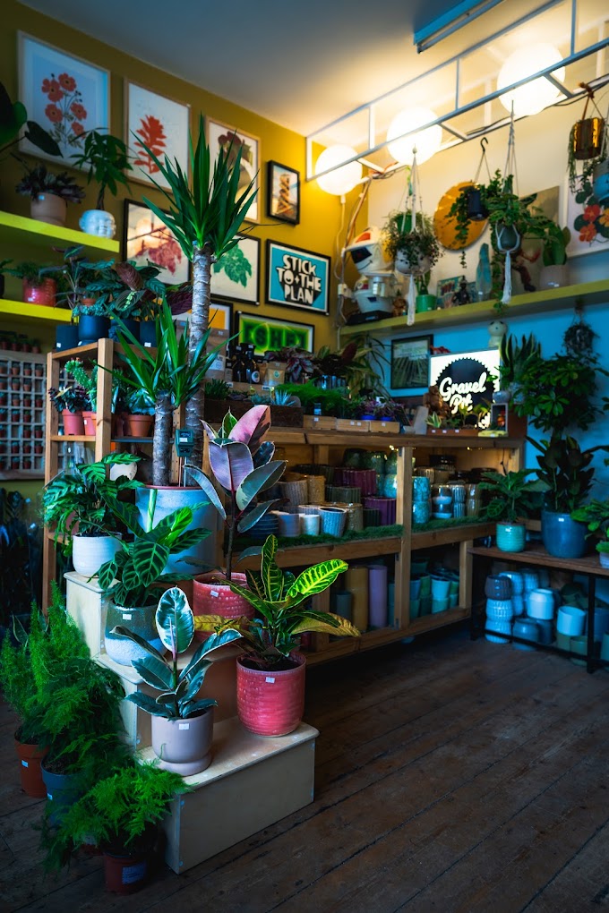 The inside of the Gravel Pit Shop. The shop is filled with wooden shelves packed with a huge array of potted plants.