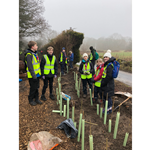 A group of volunteers are helping to plant a hedgerow.