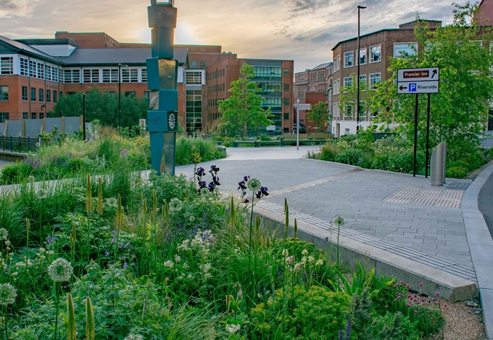 Several areas are planted up with lots of grasses and plants in an urban setting. Paths weave between them with benches for people to sit on.