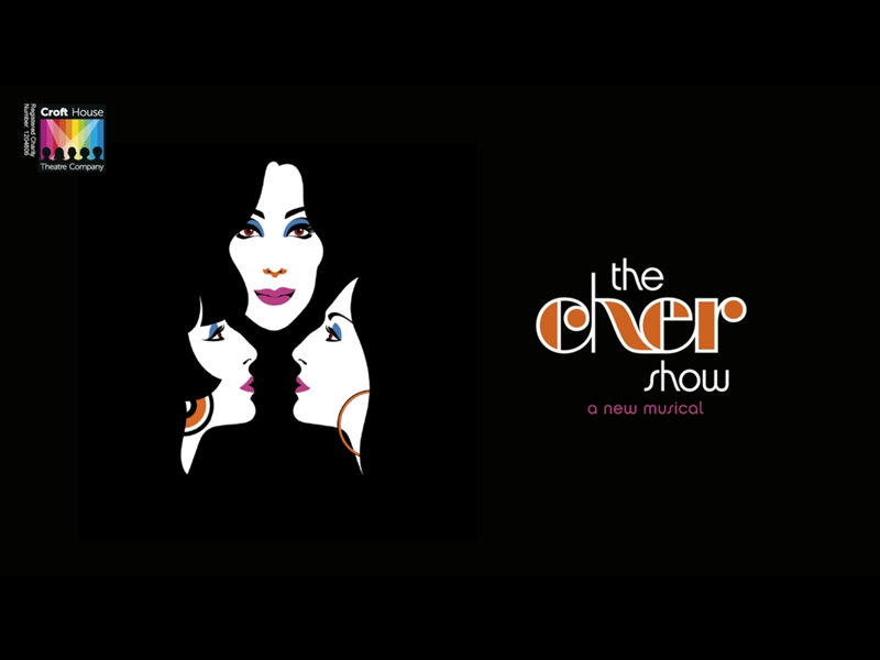 Promo image for The Cher Show, featuring an illustration of Cher's face in 60s style.