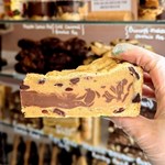 A hand holding a slice of cake/ brownie.