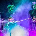 Three spooky figures, with spooky lighting, covered in cobwebs.