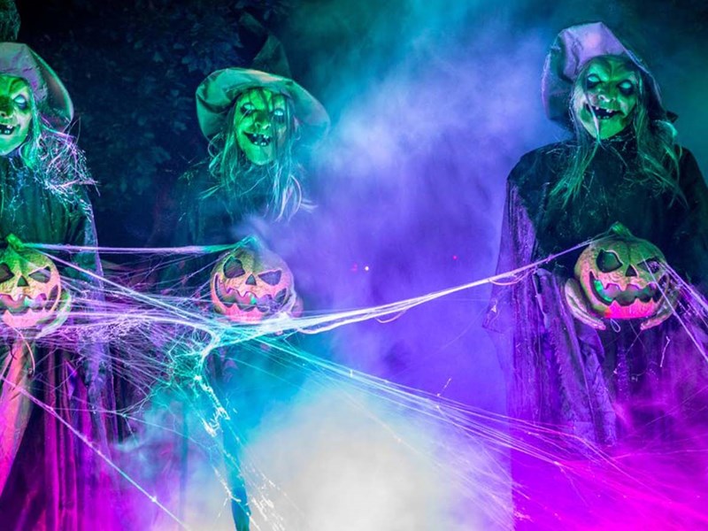 Three spooky figures, with spooky lighting, covered in cobwebs.